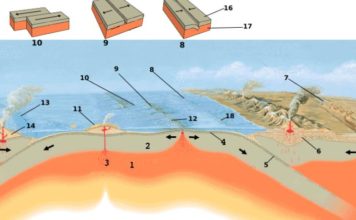 Deniz Mineralleri Ve Levha Tektoniği