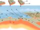 Deniz Mineralleri Ve Levha Tektoniği