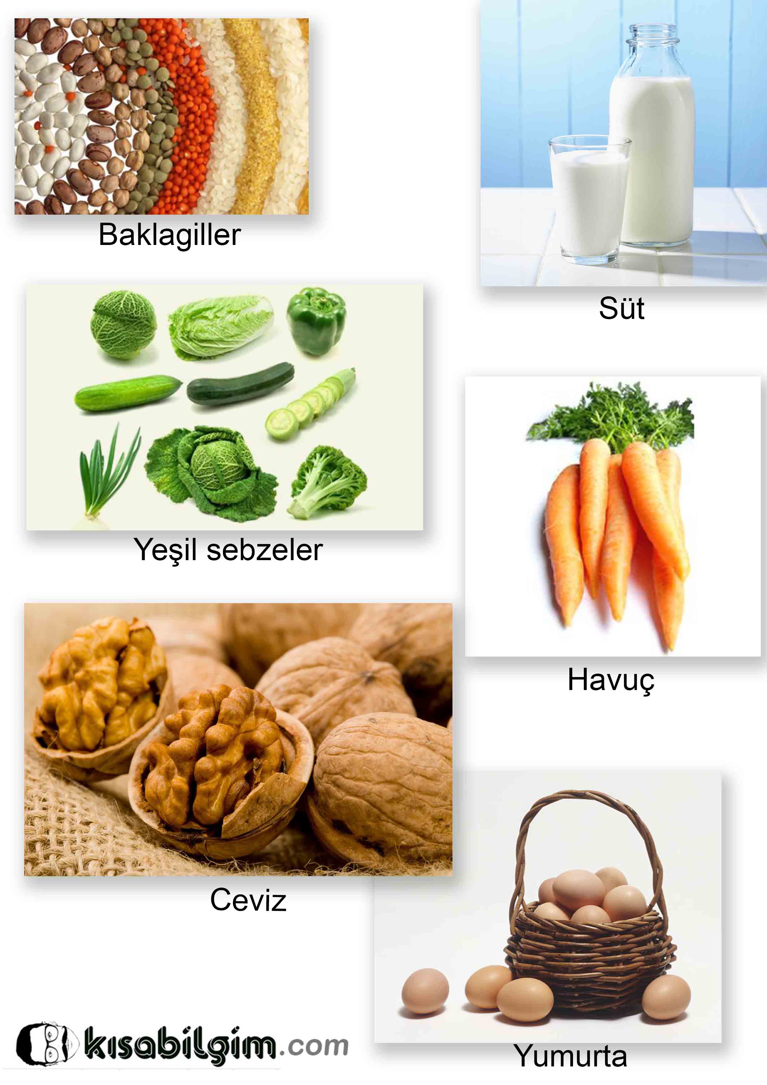 a vitamini nelerde vardır, a vitamini hangi besinlerde bulunur