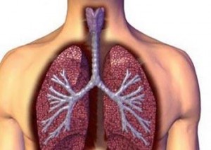 Akciğer nedir – Akciğerin görevleri nelerdir