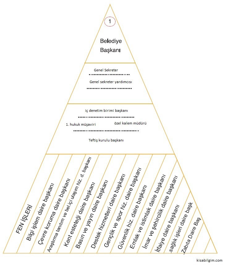 belediye yönetim piramidi