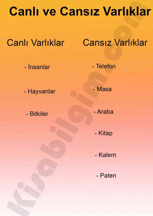 canlı ve cansız varlıklar poster