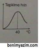 enzim sıcaklık