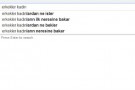 Türklerin Google'a Öğrettiği Aramalar