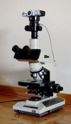 ışık mikroskobu 