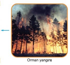orman yangınına önlem