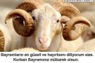 resimli-kurban-bayrami-mesaji