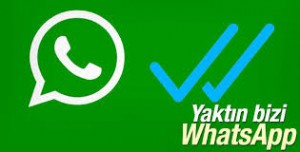 whatsapp mavi tik işareti anlamı